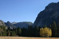 img_4611.jpg