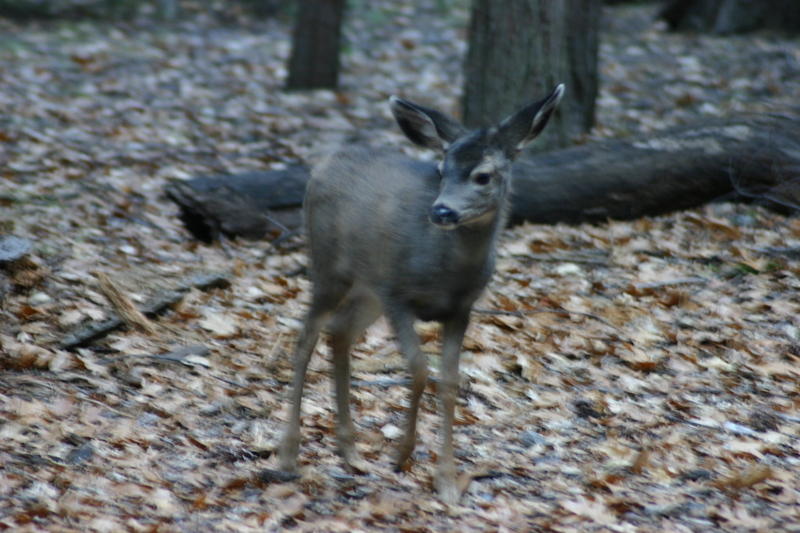 img_4623.jpg
