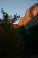 img_4659.jpg