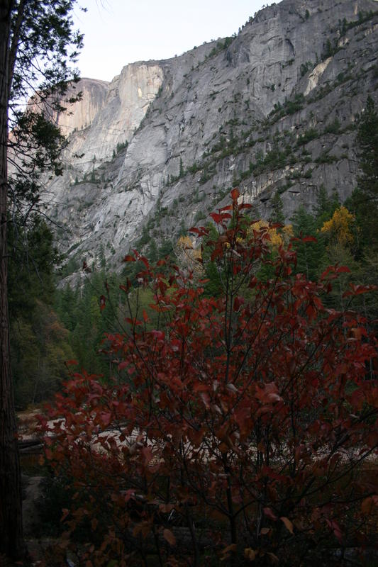 img_4662.jpg