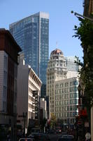 img_4137.jpg