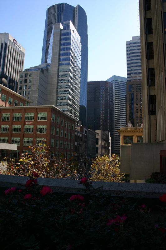 img_4185.jpg