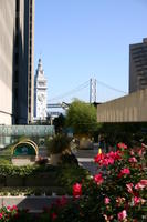 img_4186.jpg