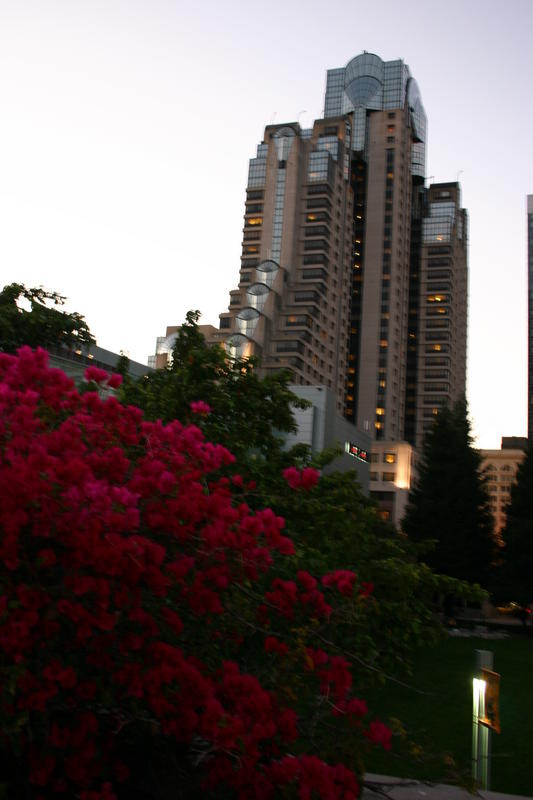 img_4232.jpg