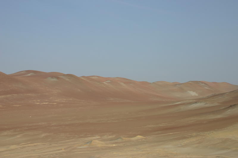 00055.jpg