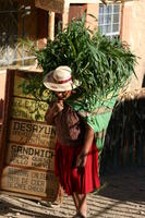 Ollantaytambo
